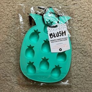 Blush pineapple shaped ice cube mold